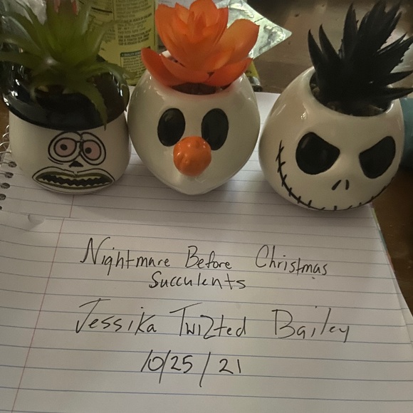 Nightmare before Christmas succulents - Picture 1 of 1